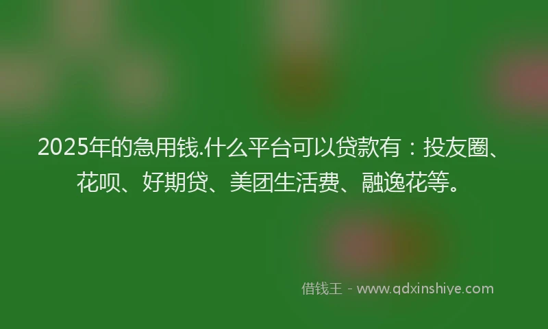 2025年的急用钱.什么平台可以贷款有：投友圈、花呗、好期贷、美团生活费、融逸花等。