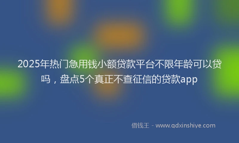 2025年热门急用钱小额贷款平台不限年龄可以贷吗，盘点5个真正不查征信的贷款app