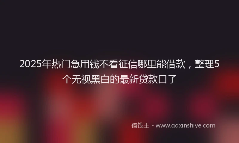 2025年热门急用钱不看征信哪里能借款，整理5个无视黑白的最新贷款口子