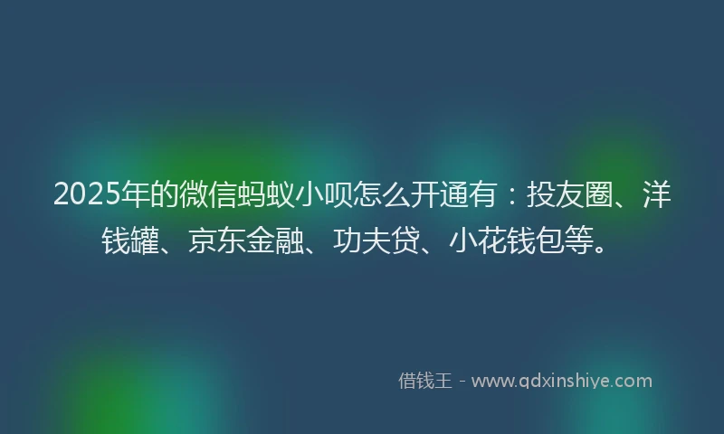2025年的微信蚂蚁小呗怎么开通有：投友圈、洋钱罐、京东金融、功夫贷、小花钱包等。