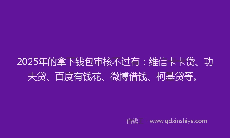 2025年的拿下钱包审核不过有：维信卡卡贷、功夫贷、百度有钱花、微博借钱、柯基贷等。