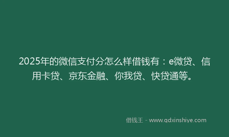 2025年的微信支付分怎么样借钱有：e微贷、信用卡贷、京东金融、你我贷、快贷通等。