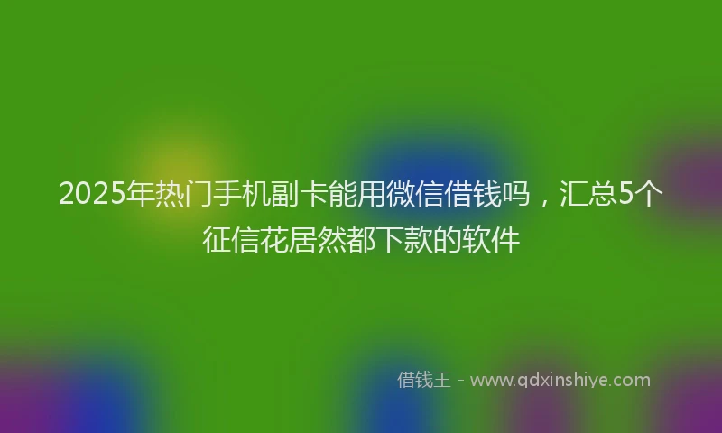 2025年热门手机副卡能用微信借钱吗，汇总5个征信花居然都下款的软件