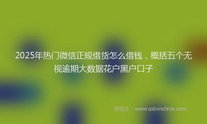 2025年热门微信正规借货怎么借钱，概括五个无视逾期大数据花户黑户口子