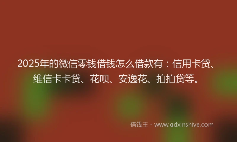 2025年的微信零钱借钱怎么借款有：信用卡贷、维信卡卡贷、花呗、安逸花、拍拍贷等。