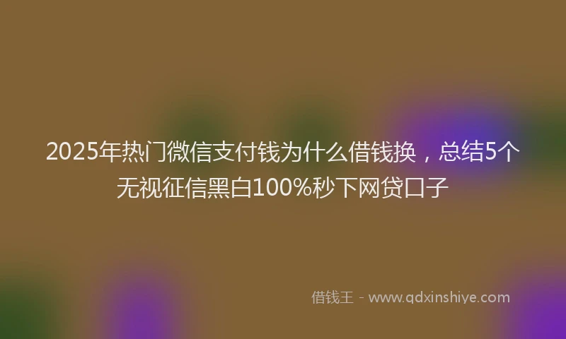 2025年热门微信支付钱为什么借钱换，总结5个无视征信黑白100%秒下网贷口子