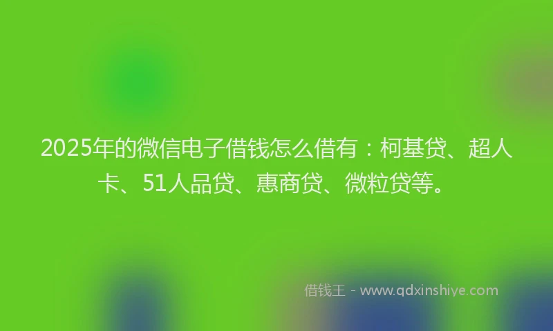 2025年的微信电子借钱怎么借有：柯基贷、超人卡、51人品贷、惠商贷、微粒贷等。