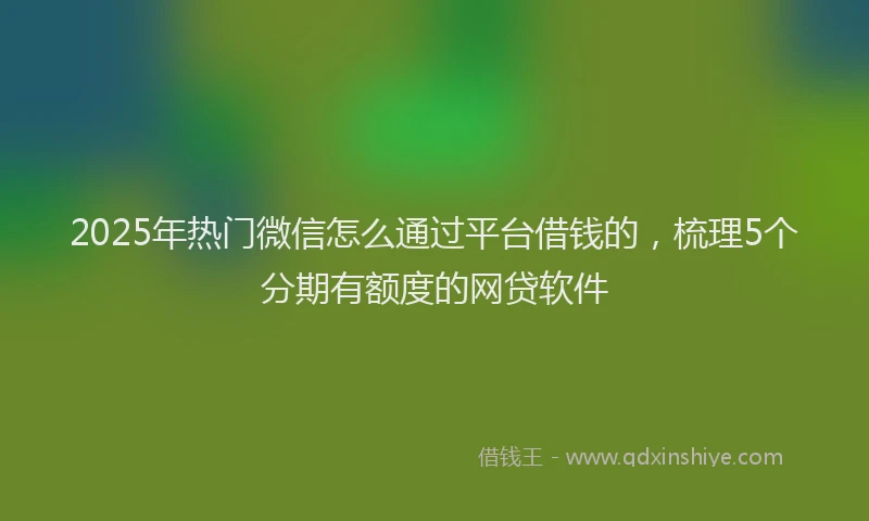 2025年热门微信怎么通过平台借钱的，梳理5个分期有额度的网贷软件