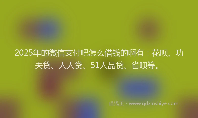 2025年的微信支付吧怎么借钱的啊有：花呗、功夫贷、人人贷、51人品贷、省呗等。