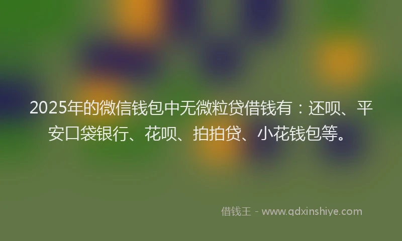 2025年的微信钱包中无微粒贷借钱有：还呗、平安口袋银行、花呗、拍拍贷、小花钱包等。