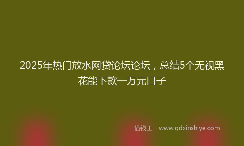 2025年热门放水网贷论坛论坛，总结5个无视黑花能下款一万元口子