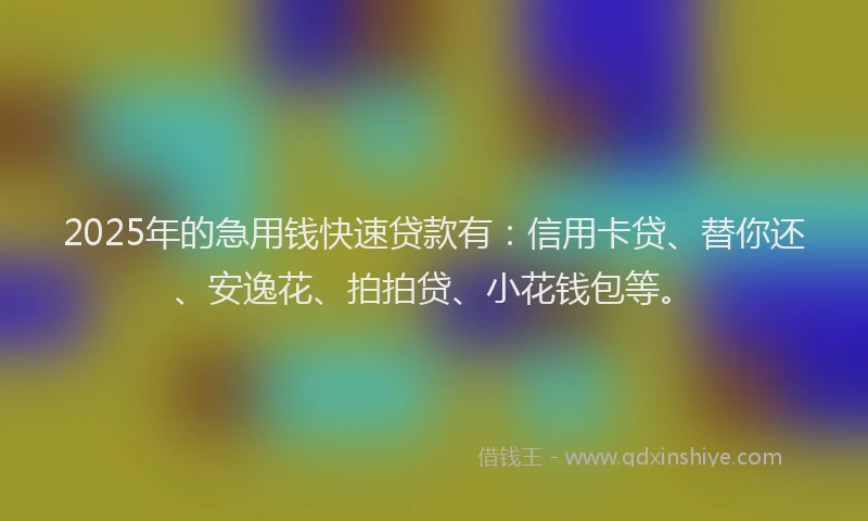 2025年的急用钱快速贷款有：信用卡贷、替你还、安逸花、拍拍贷、小花钱包等。