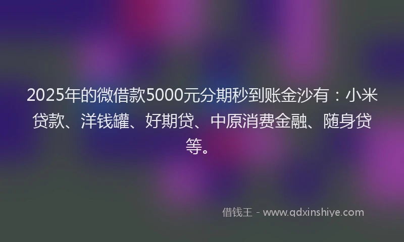 2025年的微借款5000元分期秒到账金沙有：小米贷款、洋钱罐、好期贷、中原消费金融、随身贷等。
