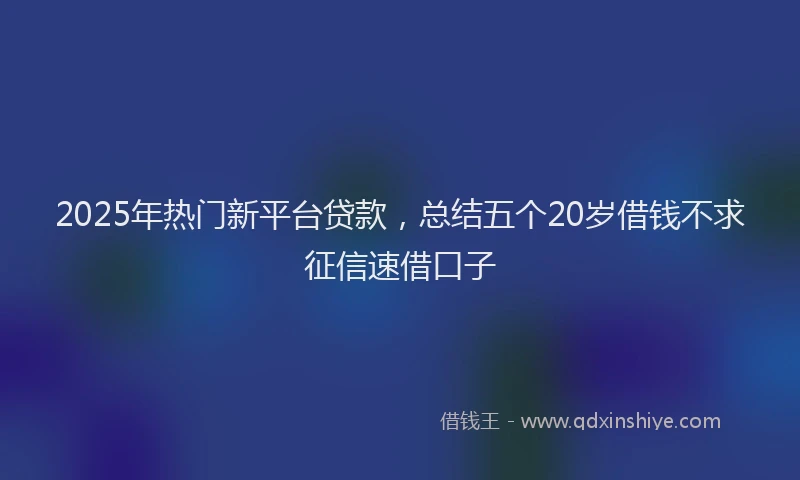 2025年热门新平台贷款，总结五个20岁借钱不求征信速借口子
