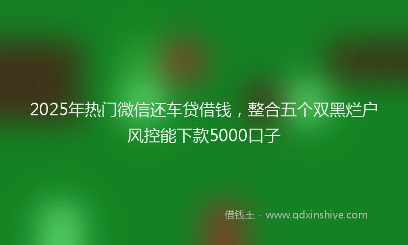 2025年热门微信还车贷借钱，整合五个双黑烂户风控能下款5000口子