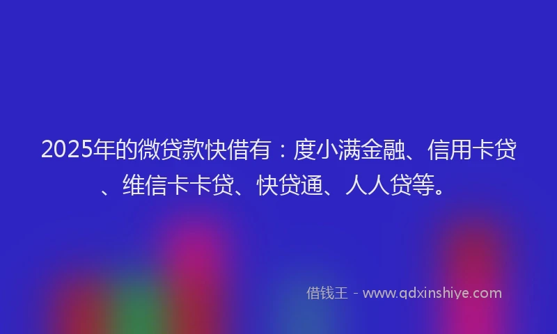 2025年的微贷款快借有：度小满金融、信用卡贷、维信卡卡贷、快贷通、人人贷等。