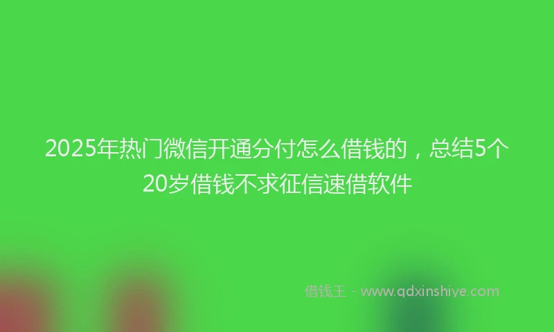 2025年热门微信开通分付怎么借钱的，总结5个20岁借钱不求征信速借软件