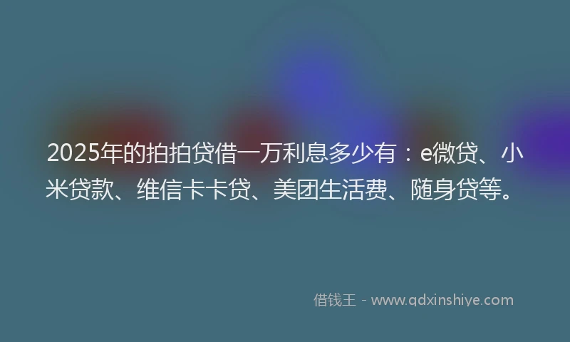 2025年的拍拍贷借一万利息多少有：e微贷、小米贷款、维信卡卡贷、美团生活费、随身贷等。