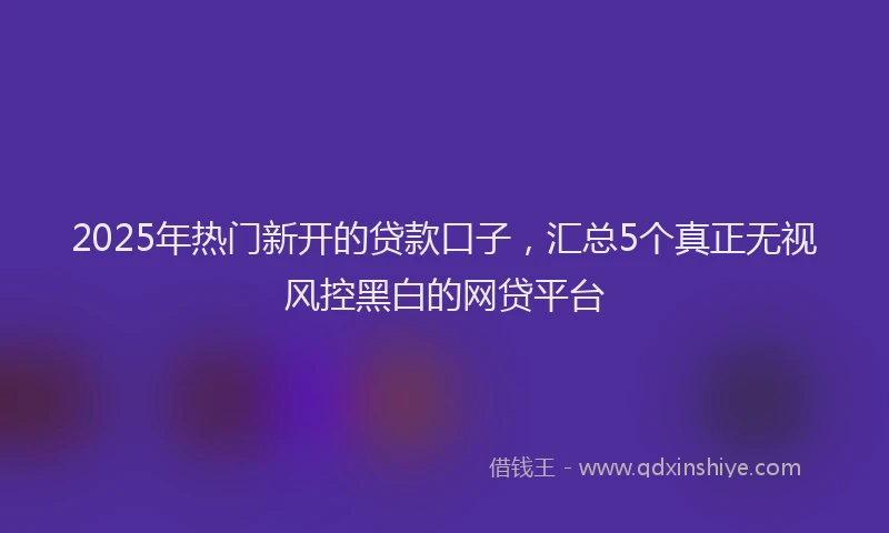 2025年热门新开的贷款口子，汇总5个真正无视风控黑白的网贷平台