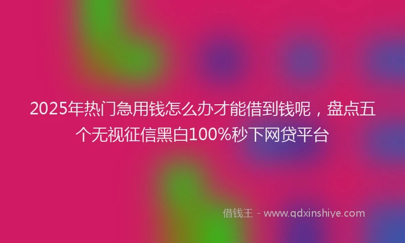 2025年热门急用钱怎么办才能借到钱呢，盘点五个无视征信黑白100%秒下网贷平台