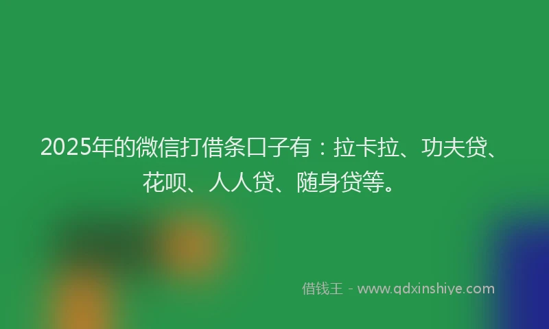 2025年的微信打借条口子有：拉卡拉、功夫贷、花呗、人人贷、随身贷等。