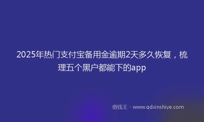 2025年热门支付宝备用金逾期2天多久恢复，梳理五个黑户都能下的app