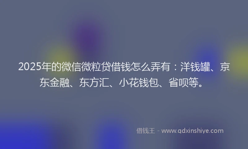 2025年的微信微粒贷借钱怎么弄有：洋钱罐、京东金融、东方汇、小花钱包、省呗等。