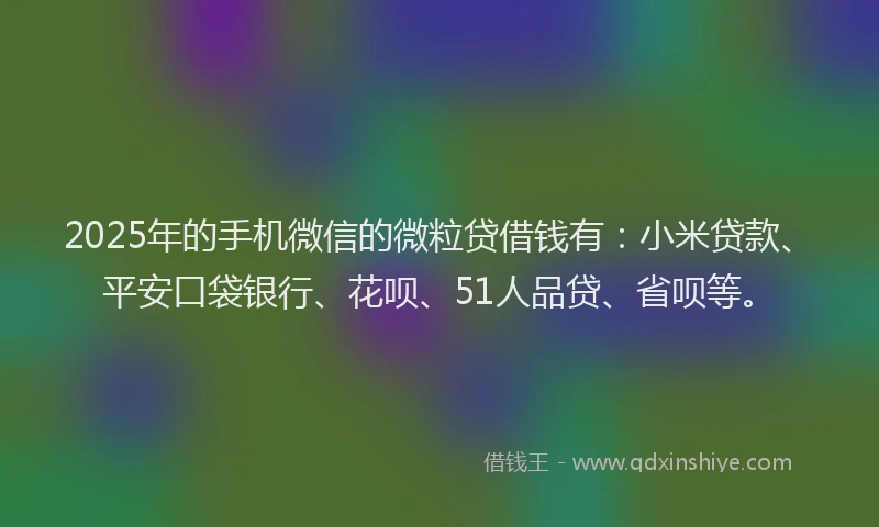 2025年的手机微信的微粒贷借钱有：小米贷款、平安口袋银行、花呗、51人品贷、省呗等。
