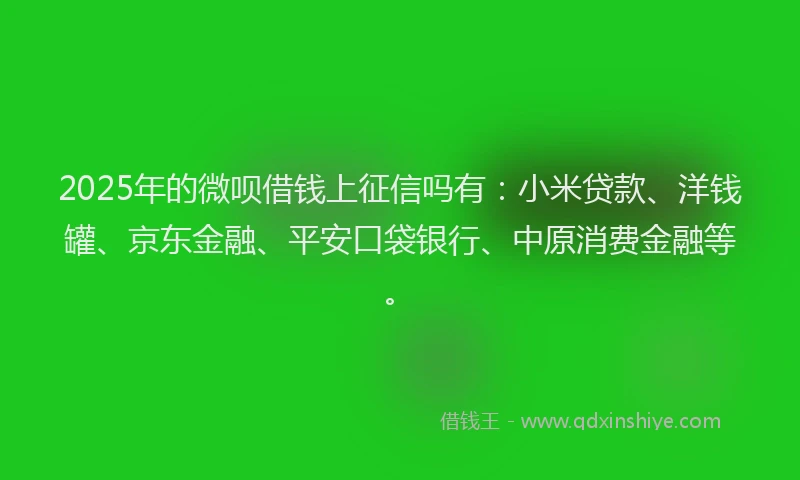 2025年的微呗借钱上征信吗有：小米贷款、洋钱罐、京东金融、平安口袋银行、中原消费金融等。