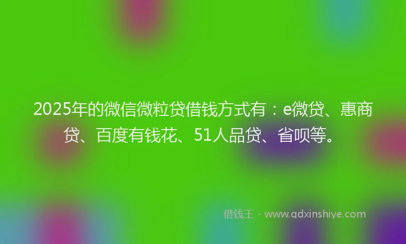 2025年的微信微粒贷借钱方式有：e微贷、惠商贷、百度有钱花、51人品贷、省呗等。
