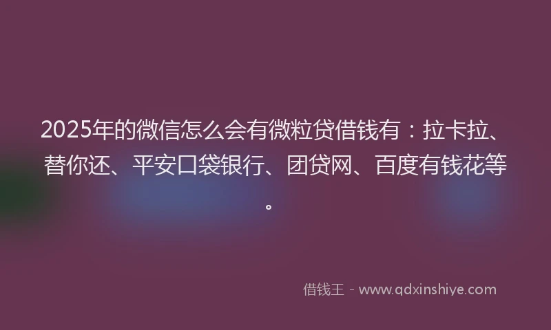2025年的微信怎么会有微粒贷借钱有：拉卡拉、替你还、平安口袋银行、团贷网、百度有钱花等。