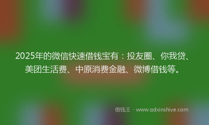 2025年的微信快速借钱宝有：投友圈、你我贷、美团生活费、中原消费金融、微博借钱等。