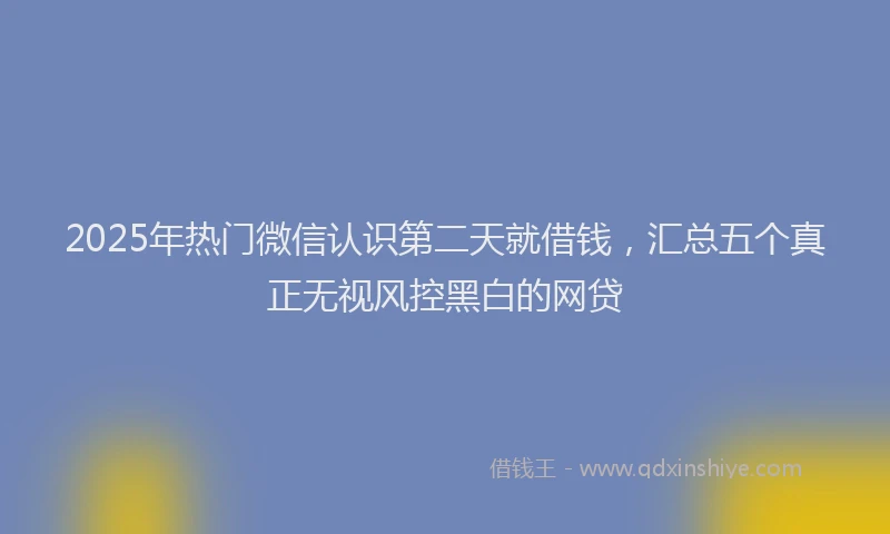 2025年热门微信认识第二天就借钱，汇总五个真正无视风控黑白的网贷