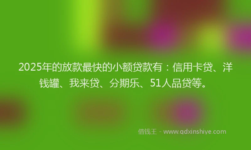 2025年的放款最快的小额贷款有：信用卡贷、洋钱罐、我来贷、分期乐、51人品贷等。