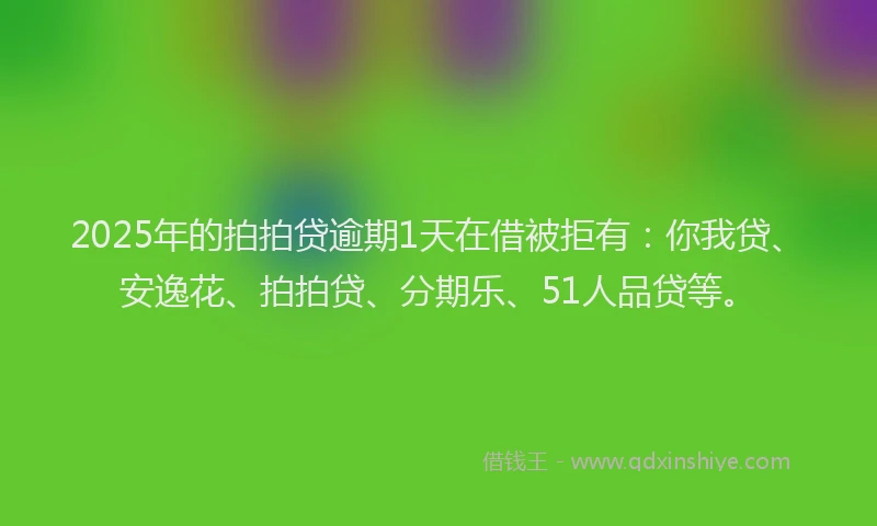 2025年的拍拍贷逾期1天在借被拒有：你我贷、安逸花、拍拍贷、分期乐、51人品贷等。