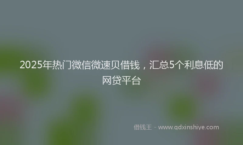 2025年热门微信微速贝借钱，汇总5个利息低的网贷平台