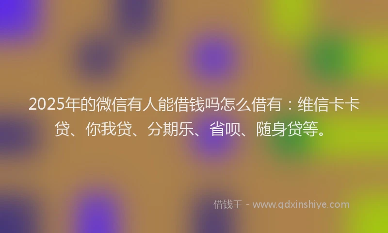 2025年的微信有人能借钱吗怎么借有：维信卡卡贷、你我贷、分期乐、省呗、随身贷等。