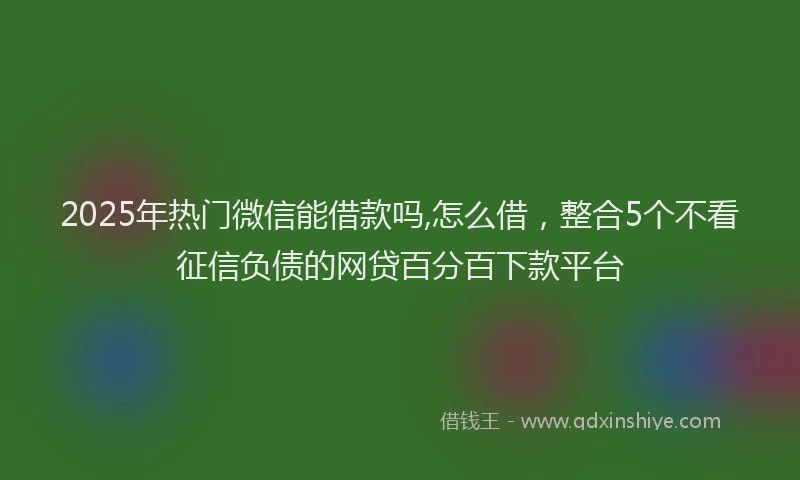 2025年热门微信能借款吗,怎么借，整合5个不看征信负债的网贷百分百下款平台