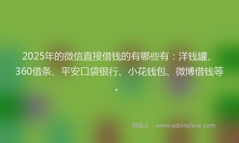 2025年的微信直接借钱的有哪些有：洋钱罐、360借条、平安口袋银行、小花钱包、微博借钱等。