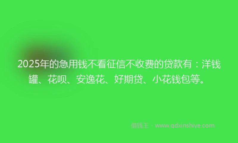 2025年的急用钱不看征信不收费的贷款有：洋钱罐、花呗、安逸花、好期贷、小花钱包等。