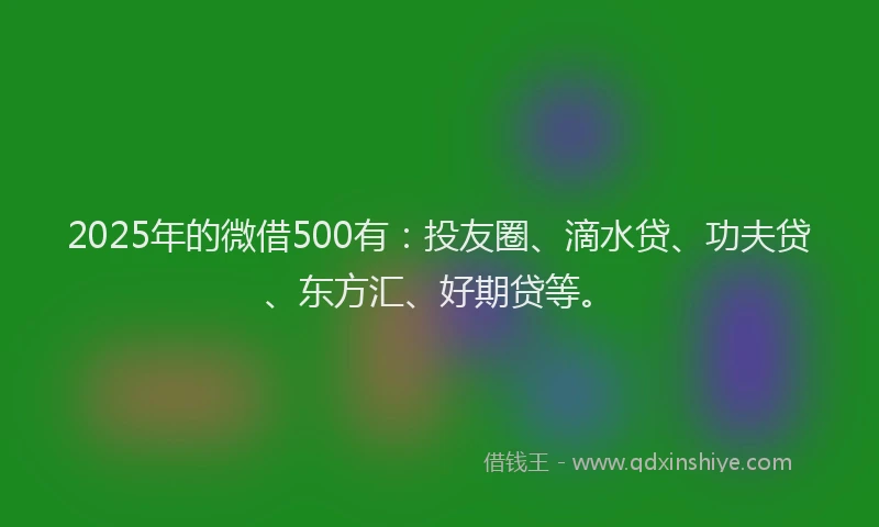 2025年的微借500有：投友圈、滴水贷、功夫贷、东方汇、好期贷等。