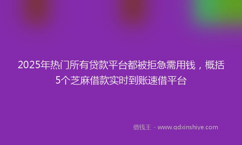 2025年热门所有贷款平台都被拒急需用钱，概括5个芝麻借款实时到账速借平台