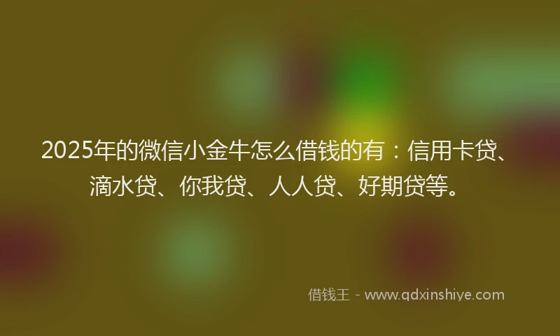 2025年的微信小金牛怎么借钱的有：信用卡贷、滴水贷、你我贷、人人贷、好期贷等。