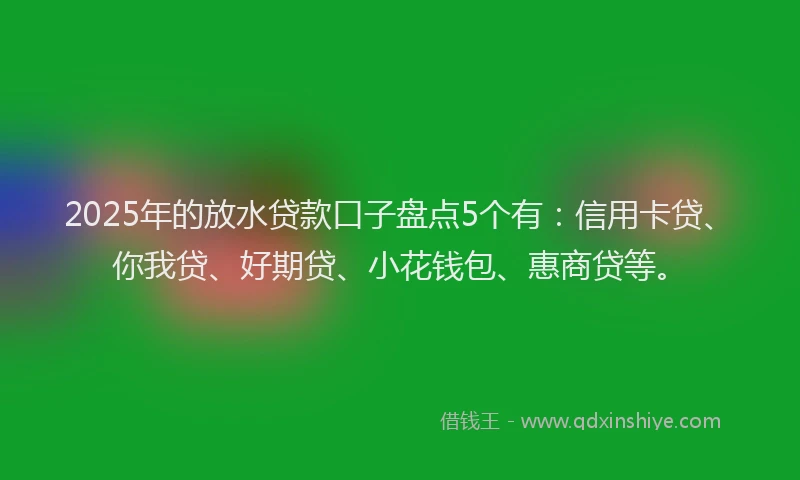 2025年的放水贷款口子盘点5个有：信用卡贷、你我贷、好期贷、小花钱包、惠商贷等。