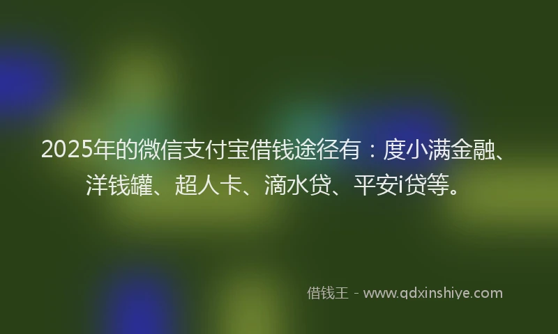 2025年的微信支付宝借钱途径有：度小满金融、洋钱罐、超人卡、滴水贷、平安i贷等。