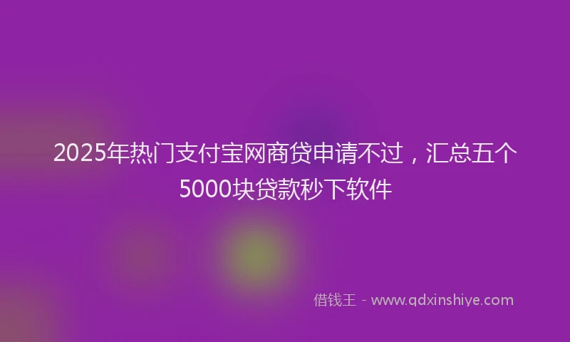 2025年热门支付宝网商贷申请不过，汇总五个5000块贷款秒下软件