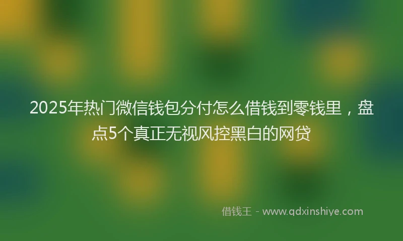 2025年热门微信钱包分付怎么借钱到零钱里，盘点5个真正无视风控黑白的网贷