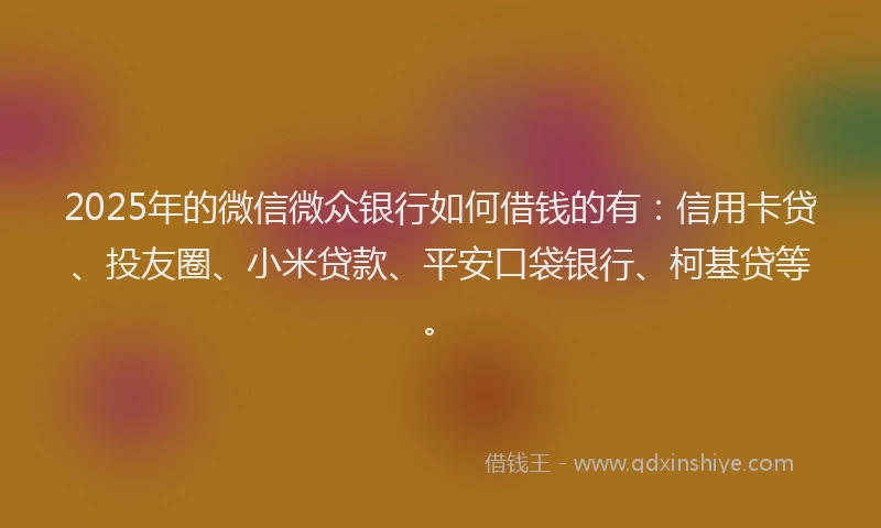 2025年的微信微众银行如何借钱的有：信用卡贷、投友圈、小米贷款、平安口袋银行、柯基贷等。