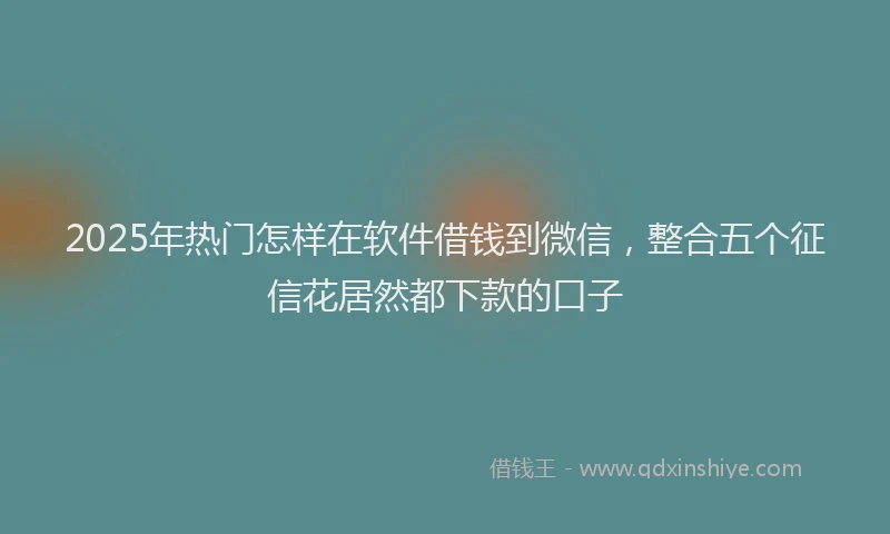 2025年热门怎样在软件借钱到微信，整合五个征信花居然都下款的口子