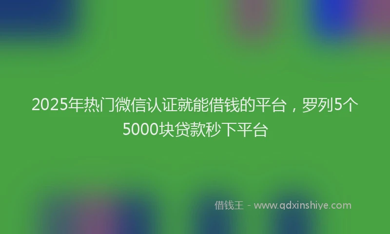 2025年热门微信认证就能借钱的平台，罗列5个5000块贷款秒下平台